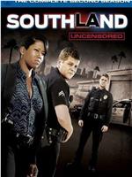 南城警事  第二季在线观看和下载