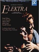 理查·施特劳斯－歌剧 埃莱克特拉在线观看和下载