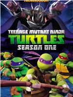 忍者神龟 第一季在线观看和下载