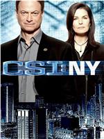 犯罪现场调查：纽约 第七季在线观看和下载