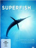 自然：超级鱼类在线观看和下载