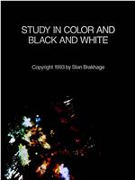 色彩黑白研究在线观看和下载