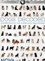 Dogs Decoded在线观看和下载