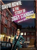 大卫·鲍伊与Ziggy Stardust的故事在线观看和下载