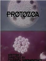 Protozoa在线观看和下载