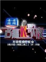 全国名嘴K歌夜在线观看和下载