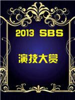 SBS演技大赏在线观看和下载