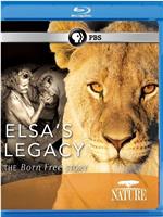 PBS：自然 - 艾尔莎的遗产：生而自由的故事在线观看和下载