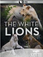 白狮成长记在线观看和下载