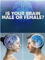 你的大脑是男性还是女性在线观看和下载