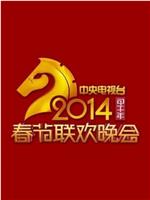 2014年中央电视台春节联欢晚会在线观看和下载