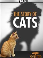 猫科动物的故事在线观看和下载