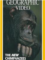 [国家地理杂志，顶级野生动物电影集05] 黑猩猩在线观看和下载