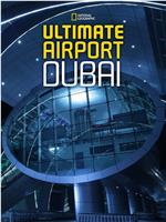 迪拜终极机场 第一季在线观看和下载