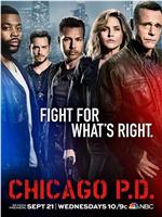 芝加哥警署 第四季在线观看和下载