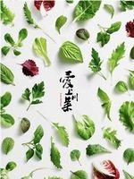 爱上川菜爱上四川在线观看和下载