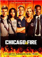 芝加哥烈焰 第五季在线观看和下载