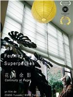 花园余影 Les feuilles superposées在线观看和下载