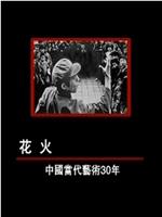 花火——中国当代艺术30年在线观看和下载
