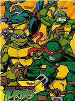 忍者神龟 第二季在线观看和下载
