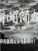 新闻简报1974年第3号在线观看和下载