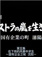 沈阳：公司改革的旋风在线观看和下载