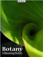 植物学：绽放的历史 第一季在线观看和下载