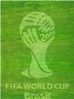 豪门盛宴——2014巴西世界杯特别节目在线观看和下载