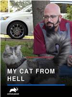 家有恶猫 第五季在线观看和下载