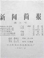 新闻简报1966年第7号在线观看和下载