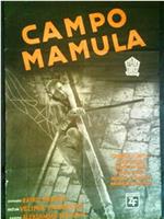 马穆拉战俘营在线观看和下载