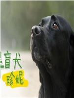 导盲犬珍妮在线观看和下载