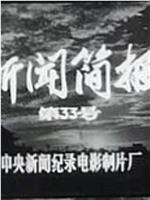 新闻简报1974年第33号在线观看和下载