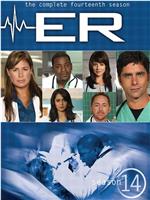 急诊室的故事 第十四季在线观看和下载
