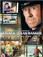 Walker, Texas Ranger: Trial by Fire在线观看和下载