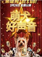 萌犬好声音在线观看和下载