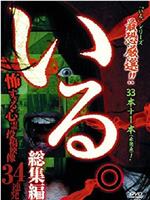 「いる。」総集編~怖すぎる心霊投稿映像34連発在线观看和下载