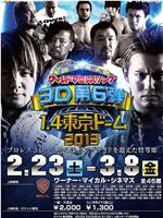 ワールドプロレスリング3D 第6弾 1.4東京ドーム 2013在线观看和下载