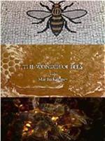 玛莎·卡妮领略神奇的蜜蜂在线观看和下载