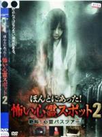 ほんとにあった！怖い心霊スポット 2 絶叫!心霊バスツアー!!在线观看和下载