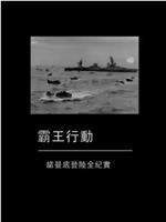 霸王行动——诺曼底登陆全纪实在线观看和下载