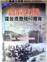 血腥海滩-诺曼底登陆60周年在线观看和下载