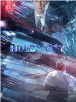 霍尔比市 第十九季在线观看和下载