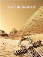 埃及之旅在线观看和下载