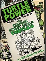 神龟力量：忍者神龟简明史在线观看和下载