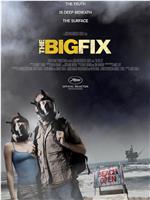 The Big Fix在线观看和下载