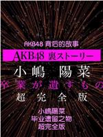AKB48背后的故事特别篇 小嶋阳菜毕业遗留之物在线观看和下载