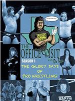 The Glory Days of Wrestling在线观看和下载