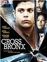Cross Bronx在线观看和下载