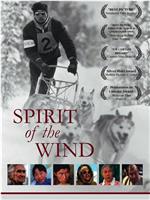 Spirit of the Wind在线观看和下载